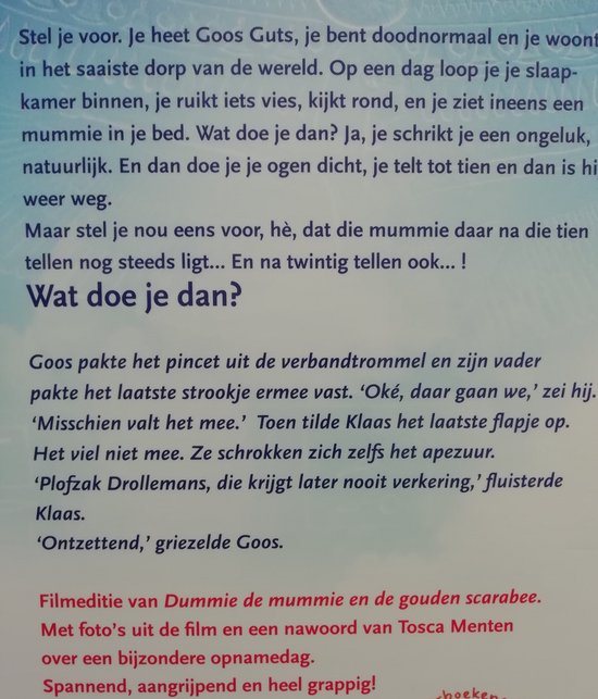 Dummie de mummie - Dummie de mummie en de gouden scarabee