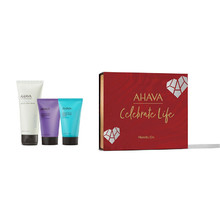 AHAVA Holiday Kits (Hands On)