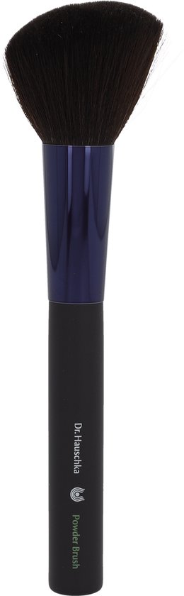 Dr Hauschka Powder Brush Coarse And Angled Head Soft Synthetic Bristles