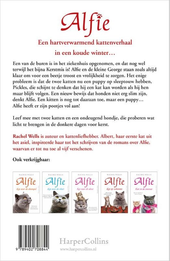 Alfie - Kat in de kou - Boek
