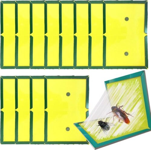 100 stuks - Maxenza Muizen Lijmplanken – Lijmplaat Muizenval – Muizenvallen voor binnen – 100% pakkans
