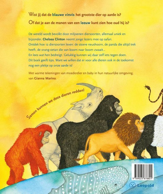 Laat ze niet verdwijnen - Boek