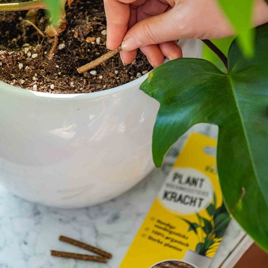 ECOstyle PlantKracht Voedingssticks - Sterke en Weerbare Potplanten - 100% Organische Planten - 120 Dagen Voeding - 30 Stuks