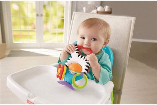 Fisher-Price Activity Zebra