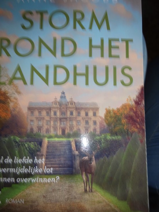 Storm rond het landhuis (Het landhuis, 2)