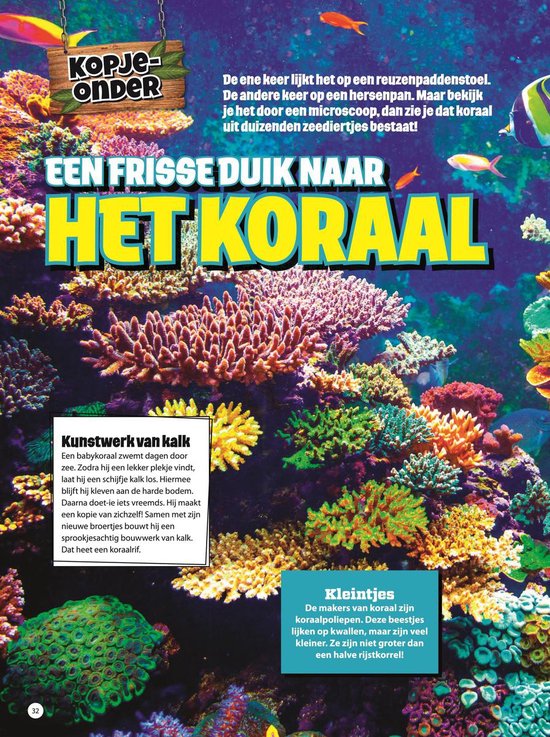 Zo zit dat Vakantieboek - 2019