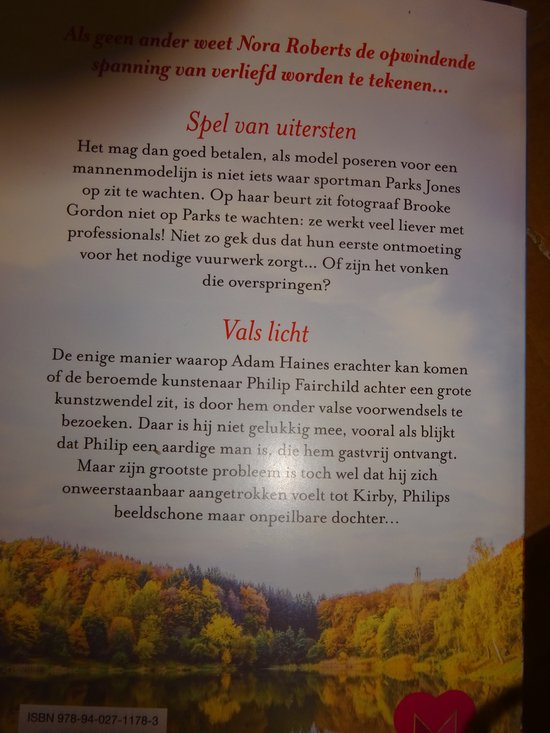 Liefde in Beeld, Nora Roberts - Boek